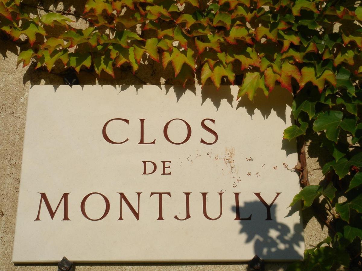 Clos De Mont July, Chambres Avec Vue Et Terrasse Dans Demeure Historique Ceyzeriat 외부 사진